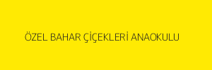 ÖZEL BAHAR ÇİÇEKLERİ ANAOKULU